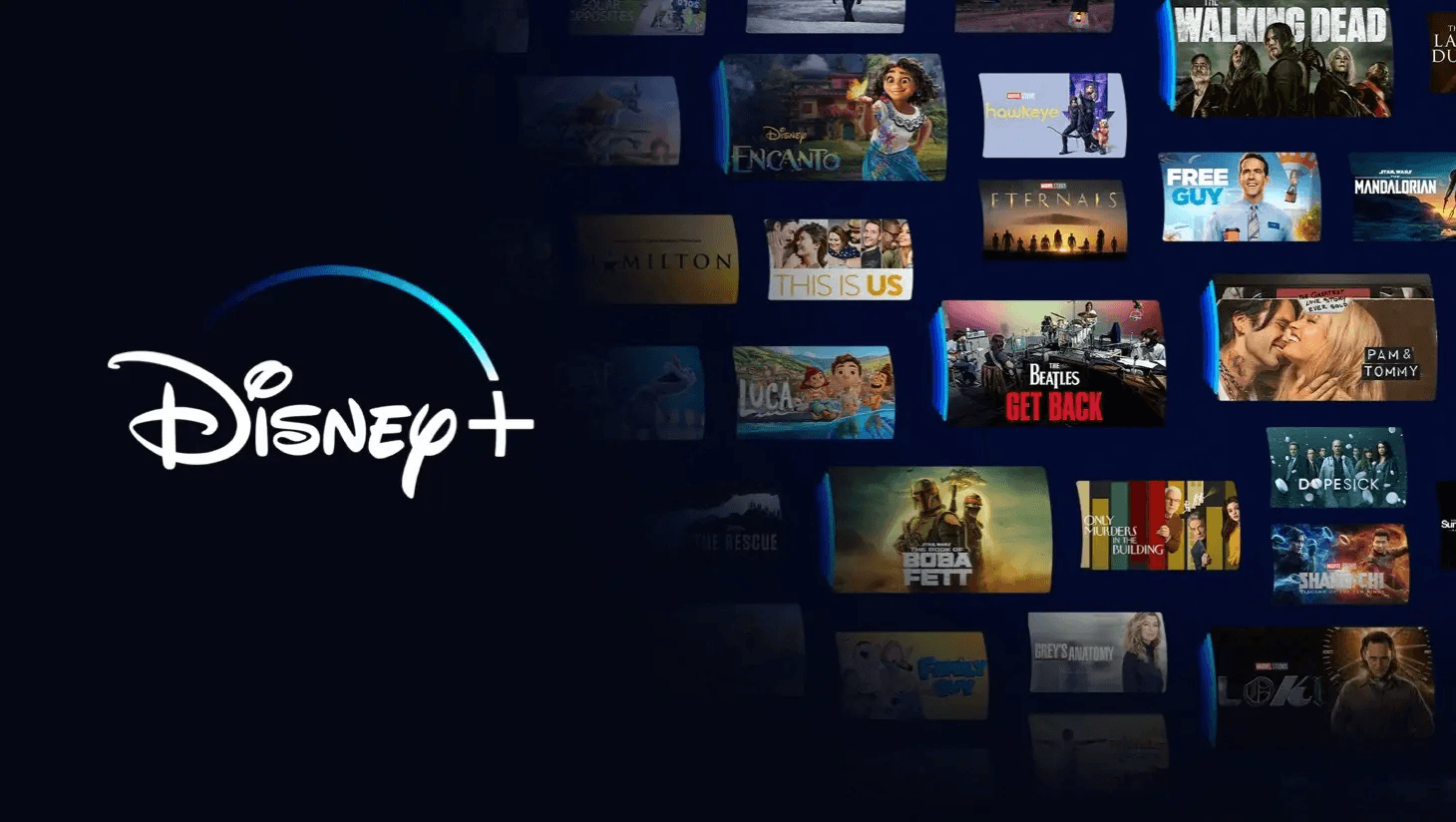 Disney+ Student Discount