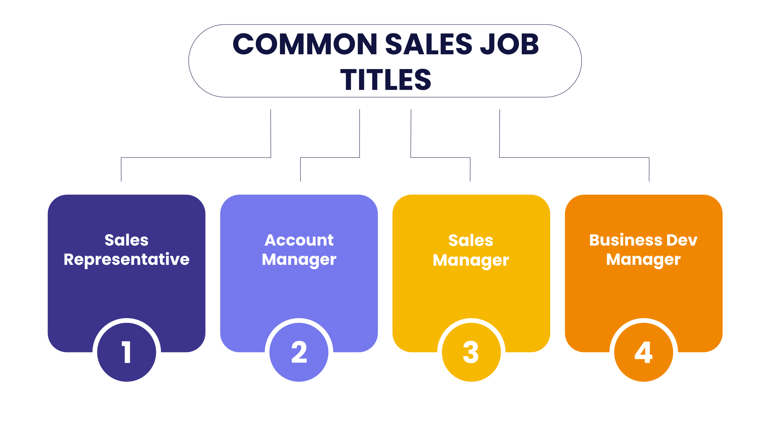 Sales Job Titles: A Comprehensive List 2024