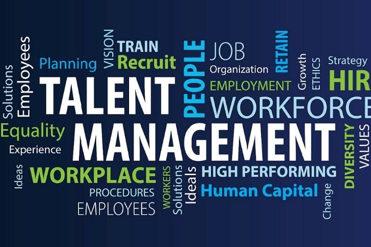 Talent Management: The Fundamentals of Talent Management