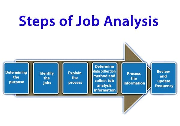 What Are The Six Steps Of Job Analysis And Examples?