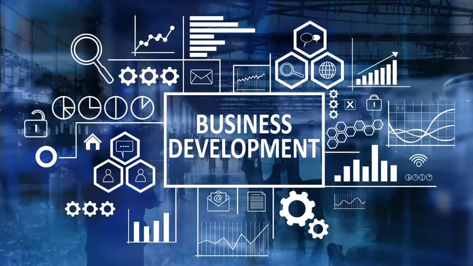 Job Description of Business Development Director