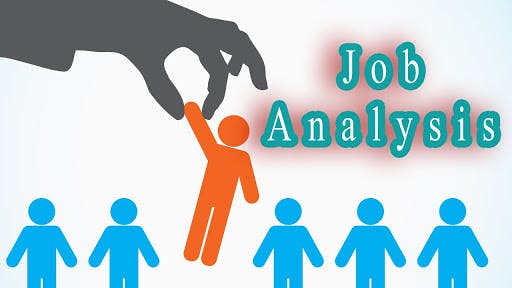 Everything you need to know about  Job Analysis 