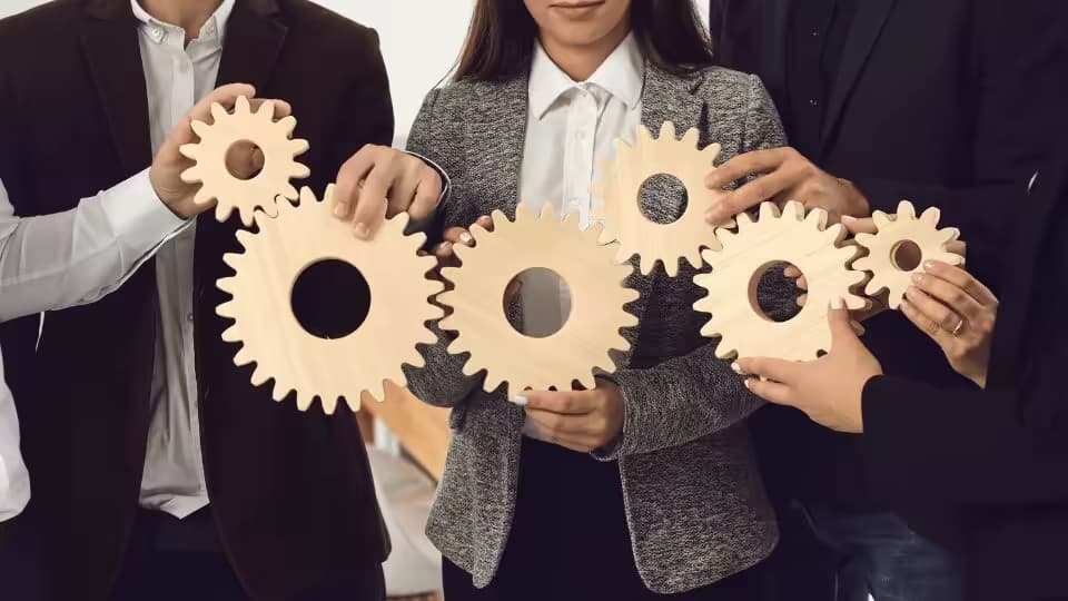 Best Business Management Courses