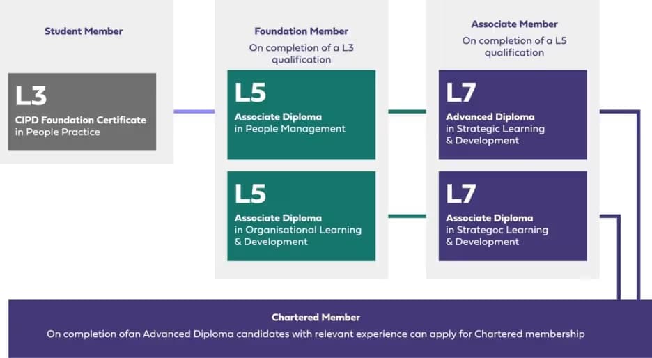 CIPD Level 3 vs Level 5: Which Qualification is Right for You?