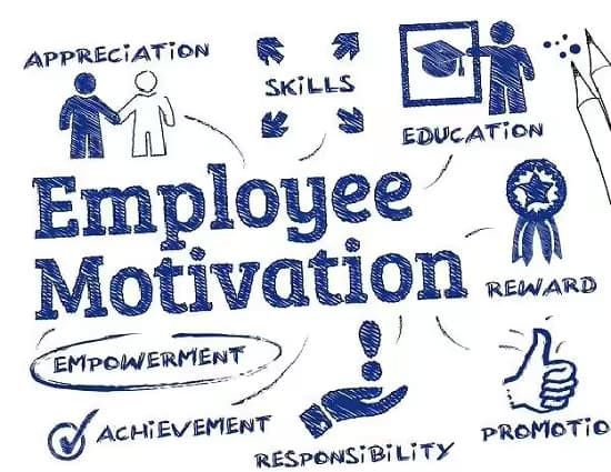 Employee motivation: Everything you need to know