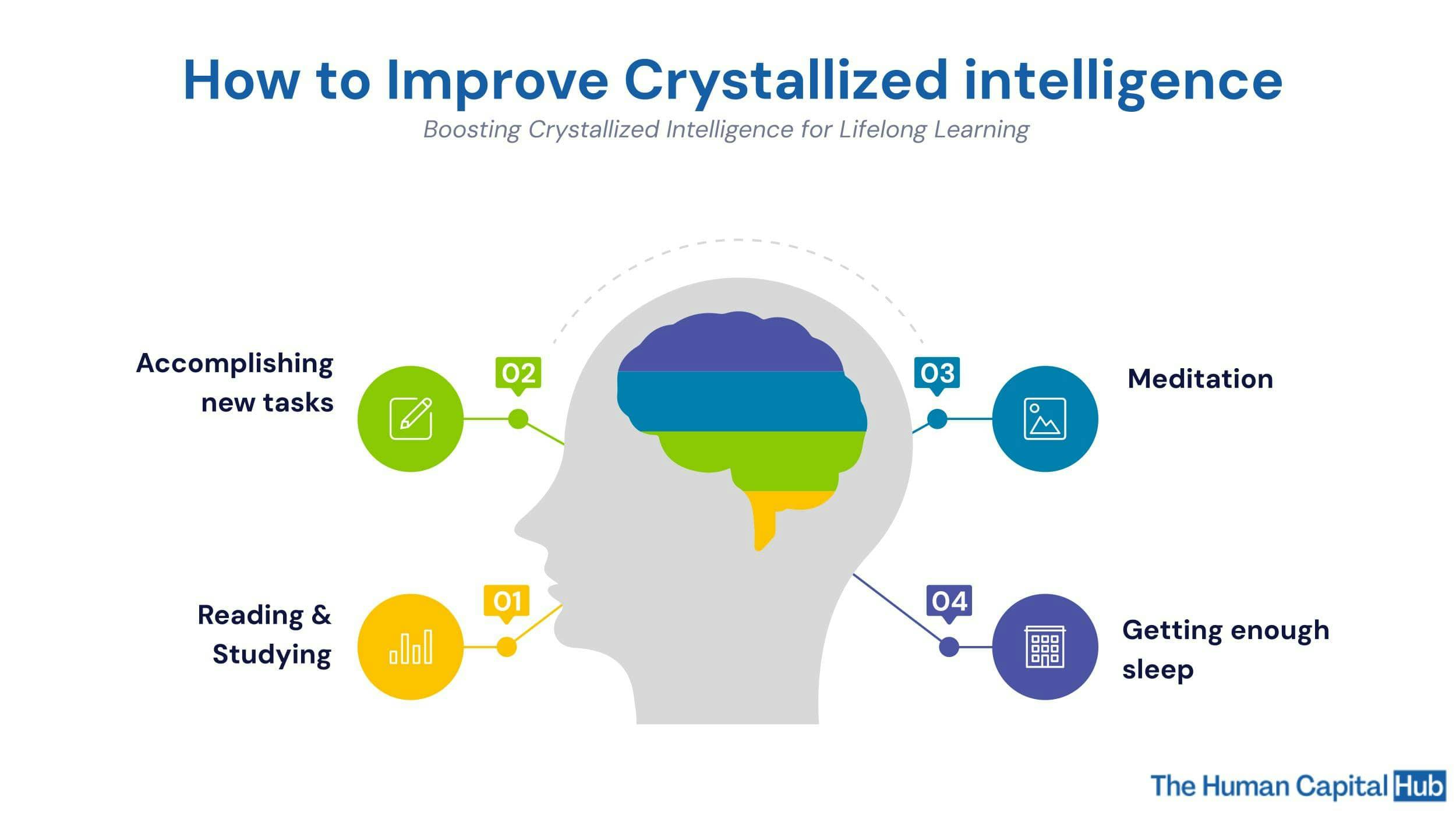 Crystallized intelligence: Everything you need to know