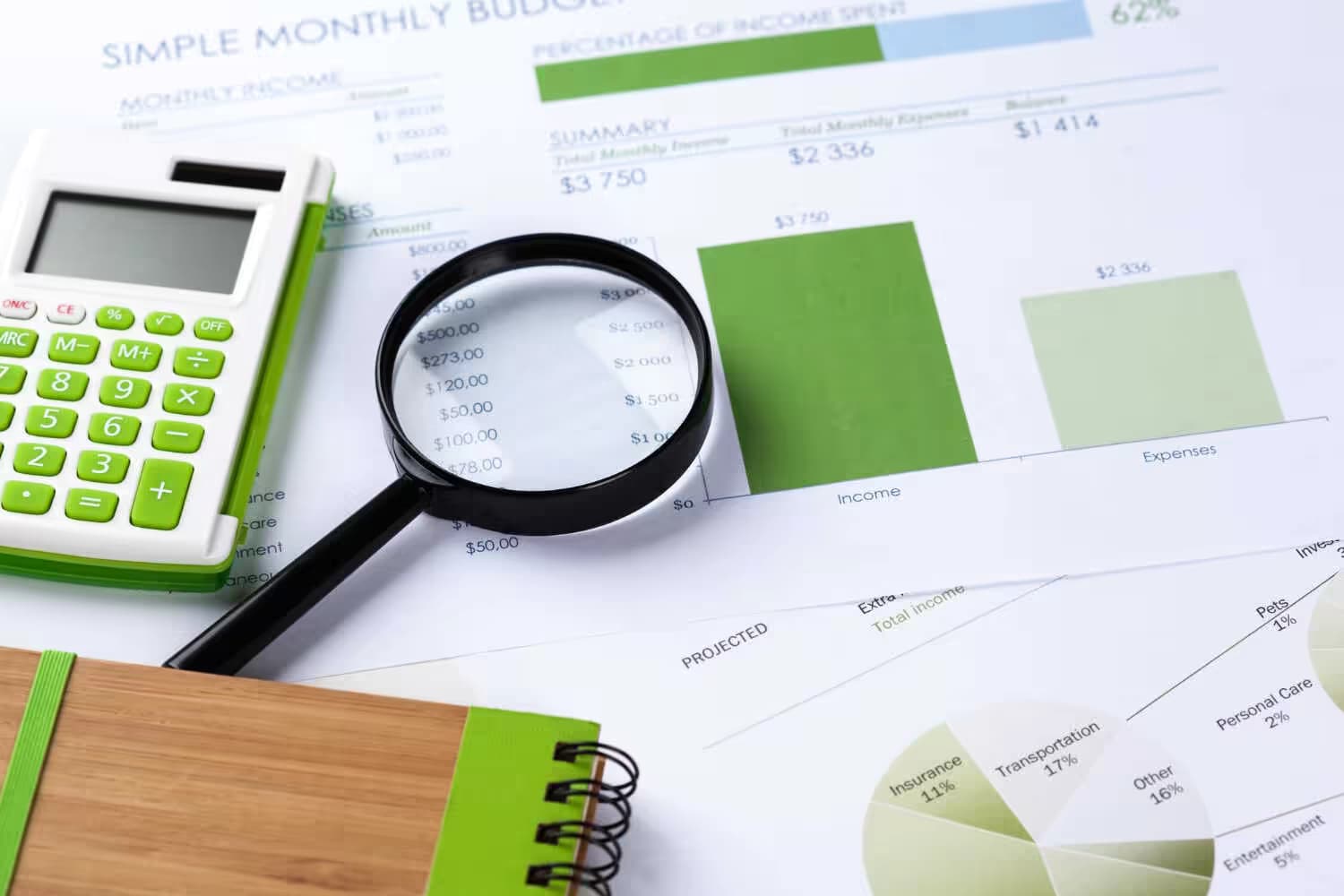 Job Description for Forensic Accountant
